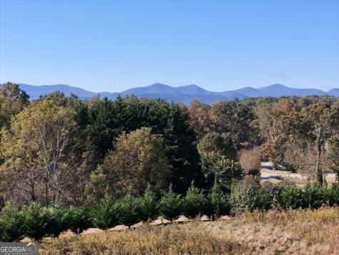 Tr 2 Arbor Acres Farm Road Blairsville GA 30512
