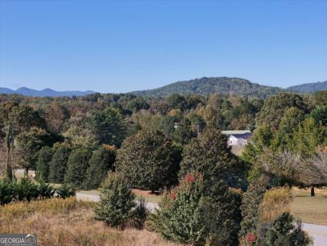 Tr 2 Arbor Acres Farm Road Blairsville GA 30512