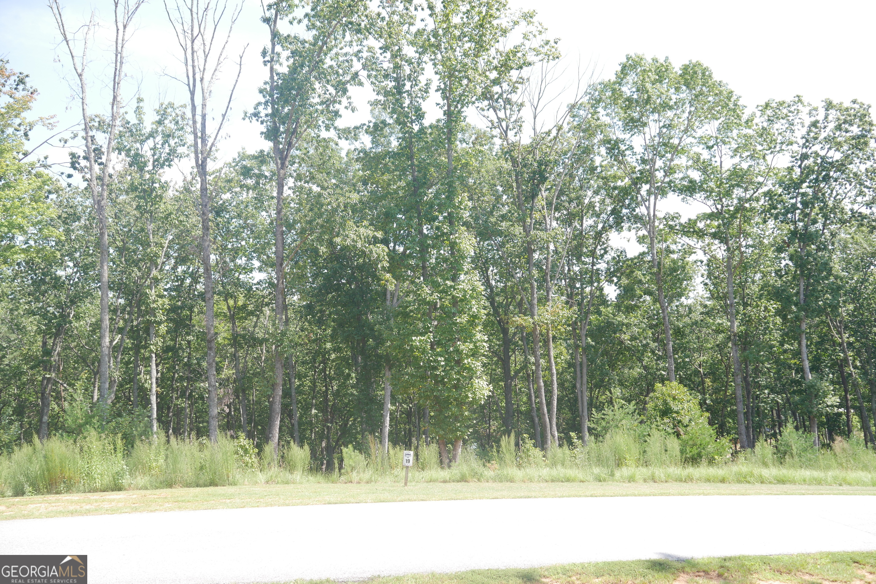 Lot 19 Yonah Lake Drive Sautee Nacoochee GA 30571