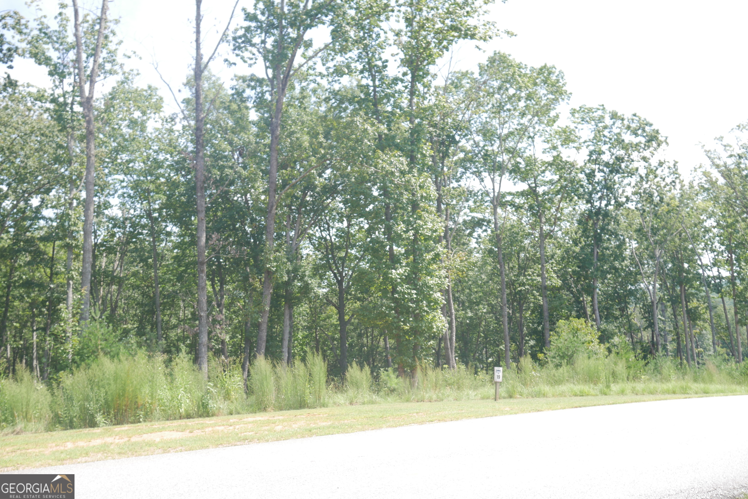 Lot 19 Yonah Lake Drive Sautee Nacoochee GA 30571