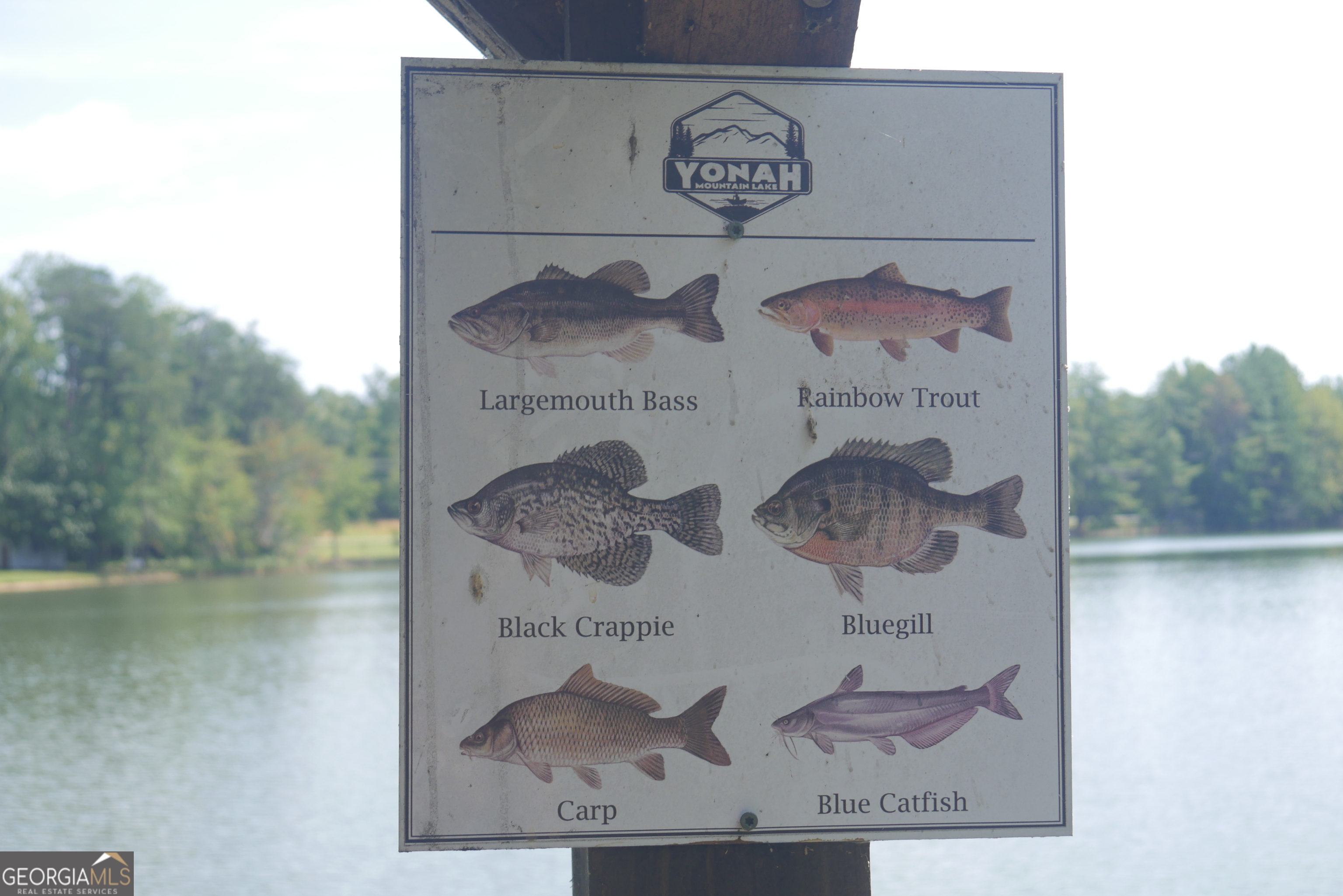 Lot 19 Yonah Lake Drive Sautee Nacoochee GA 30571
