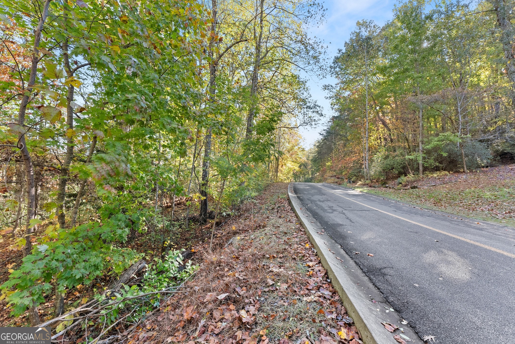 0 Orchard Drive Clarkesville GA 30523
