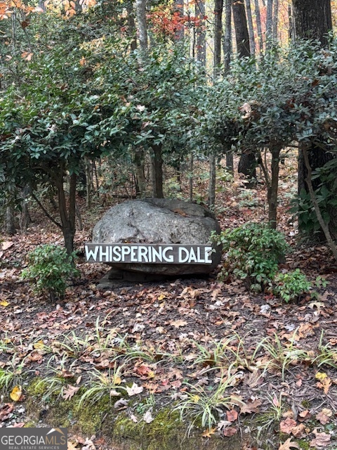 595 Whispering Dale Drive Clarkesville GA 30523