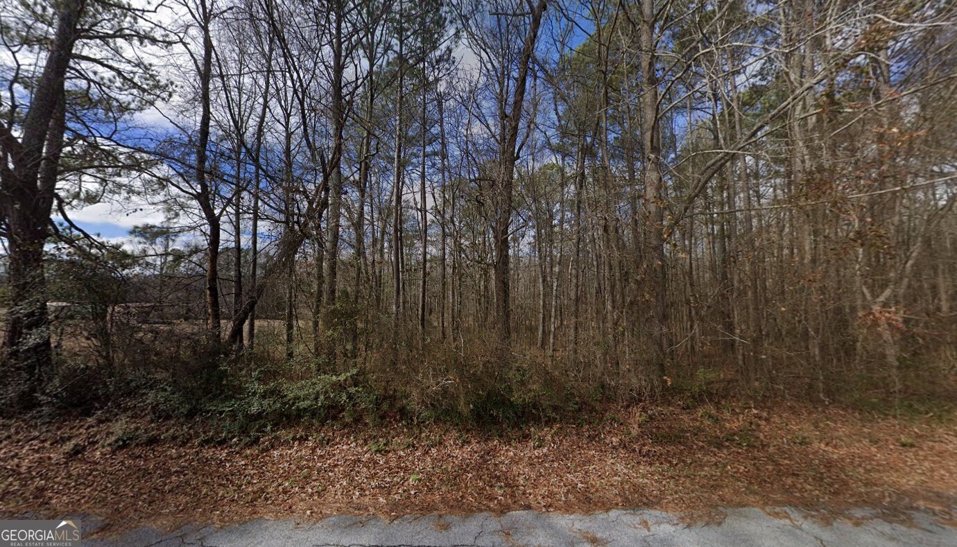 40 Ridgeview Drive Cedartown GA 30125
