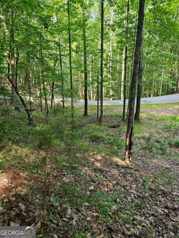 1111 Quail Cove Drive Jasper GA 30143