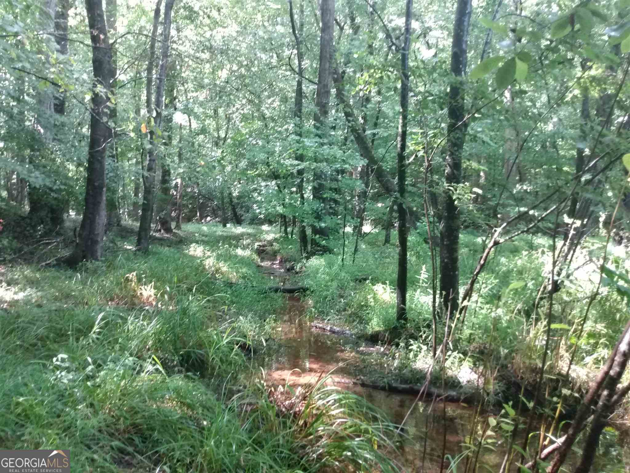 0 Bow Drive Lavonia GA 30553