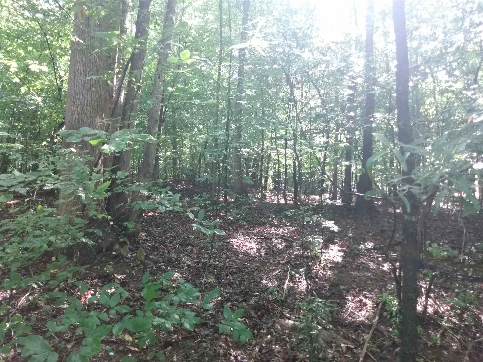 0 Bow Drive Lavonia GA 30553