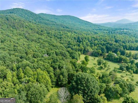 00 Freeman View Trail Cleveland GA 30528