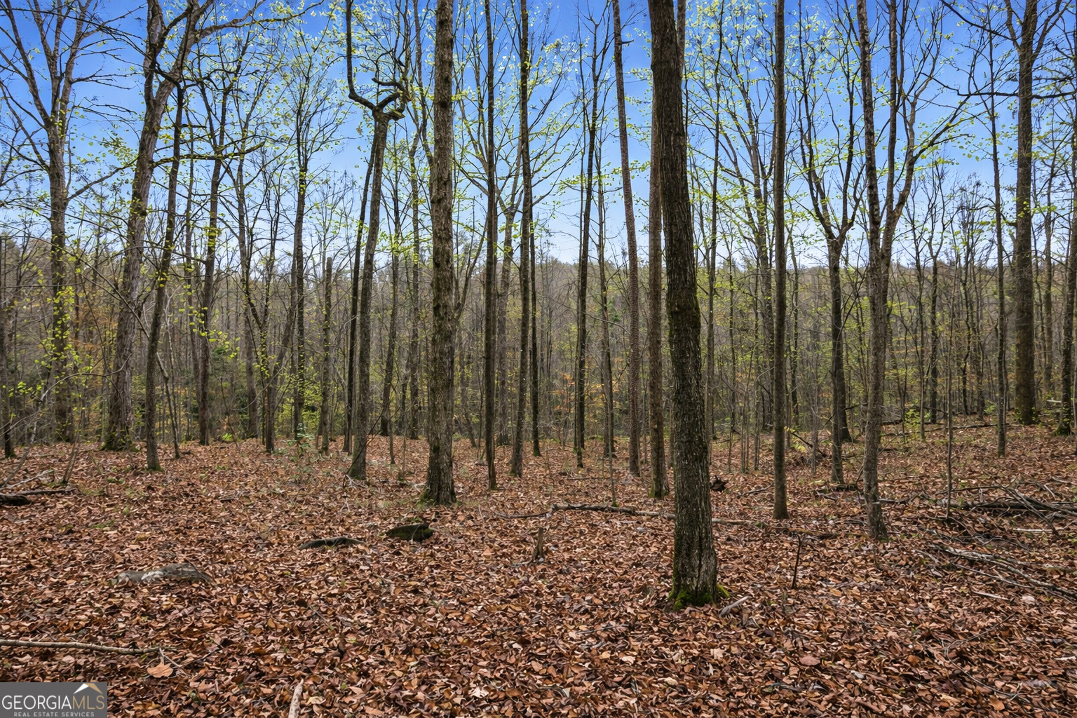 2345 Stonepile Road Clarkesville GA 30523