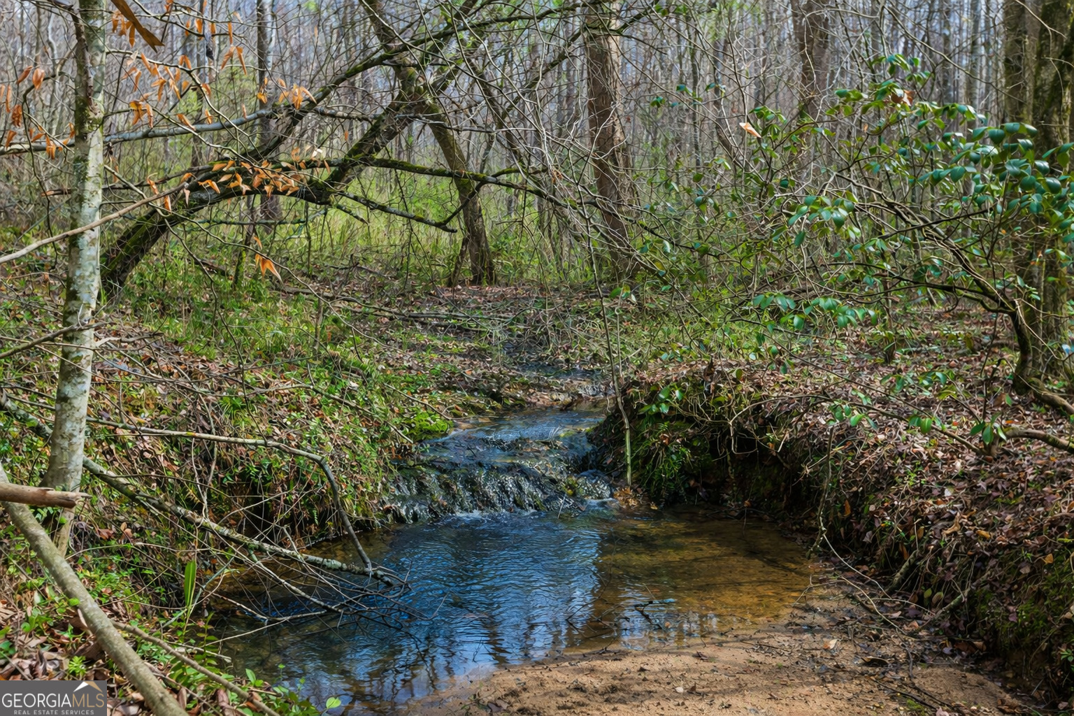 2345 Stonepile Road Clarkesville GA 30523