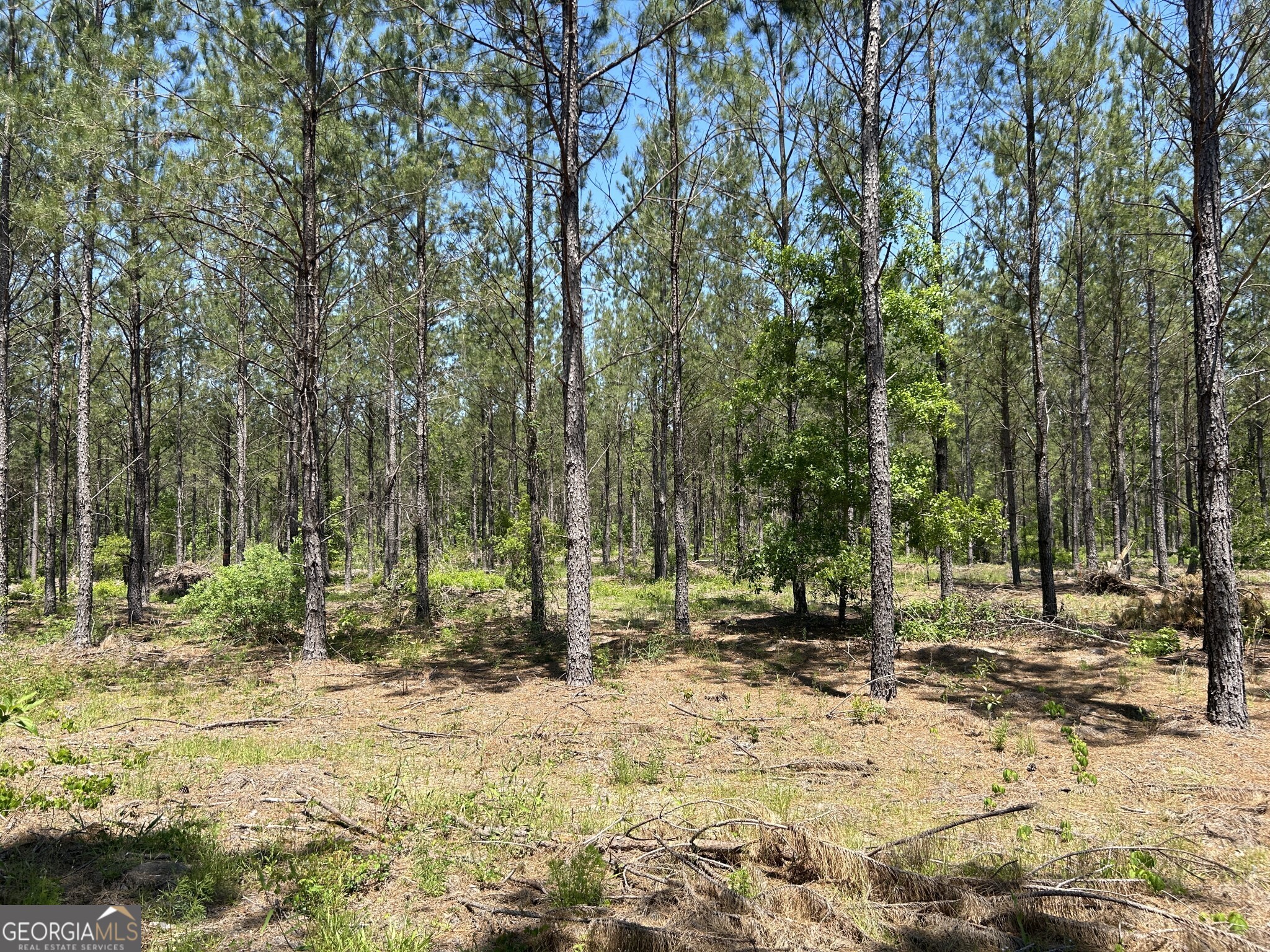 0 Dewey Thomas Road Dexter GA 31019