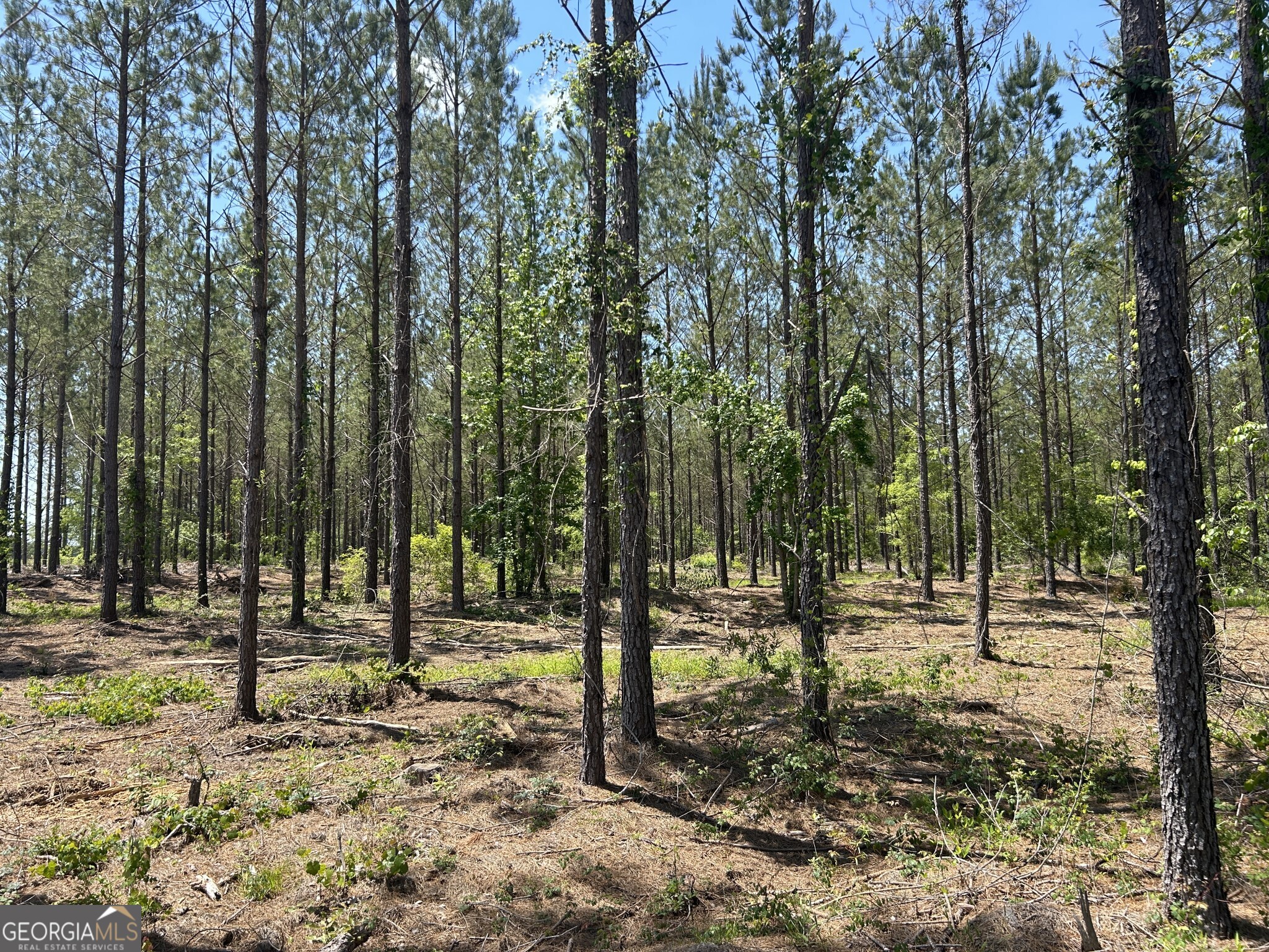 0 Dewey Thomas Road Dexter GA 31019