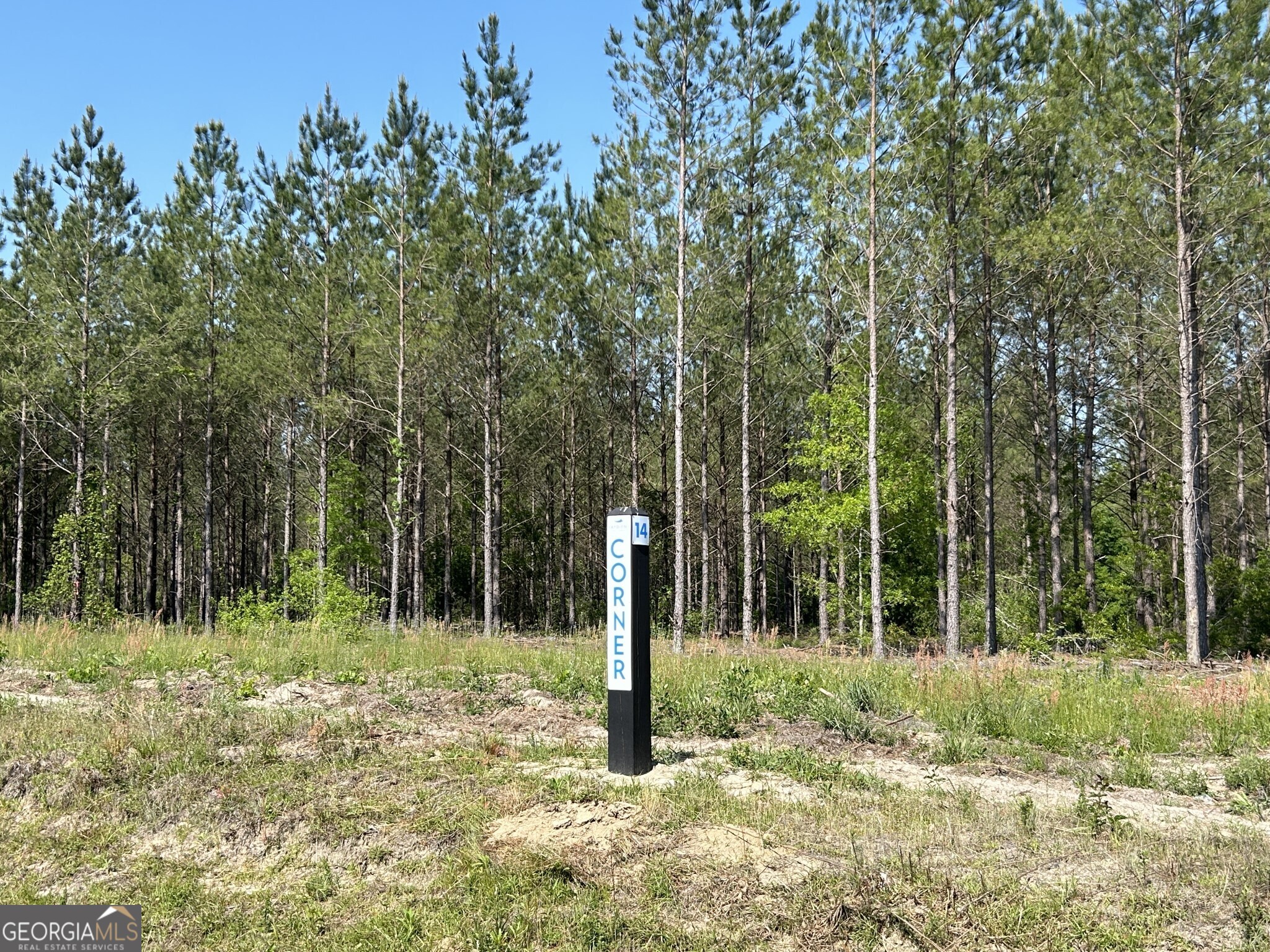 0 Dewey Thomas Road Dexter GA 31019