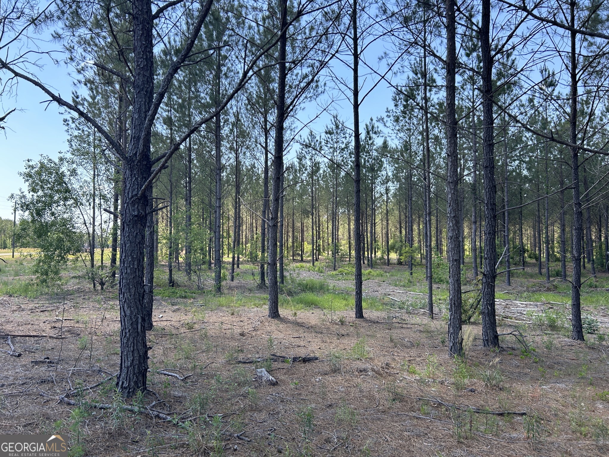0 Dewey Thomas Road Dexter GA 31019