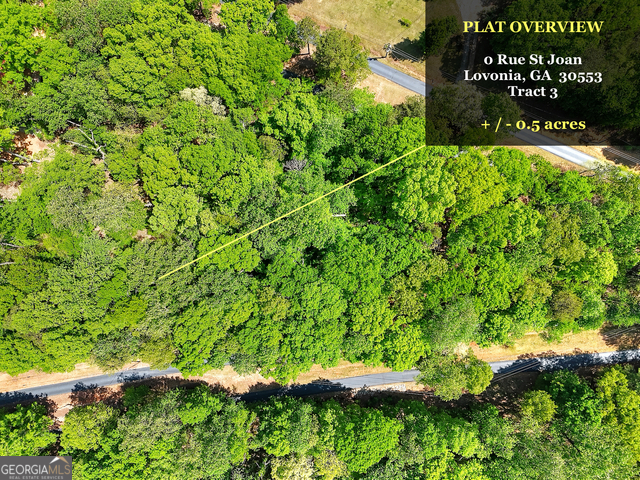 0 Rue Street Joan Lavonia GA 30553