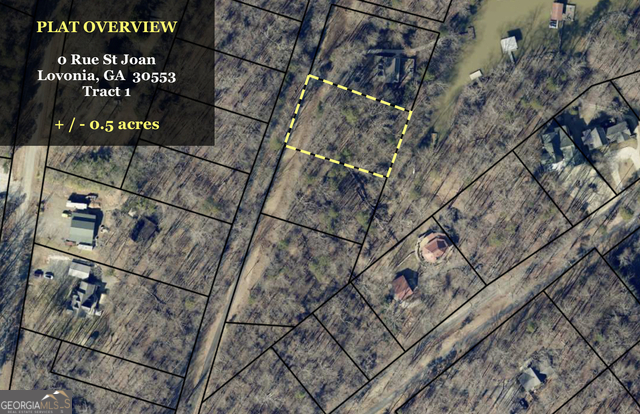 0 Rue Street Joan Lavonia GA 30553