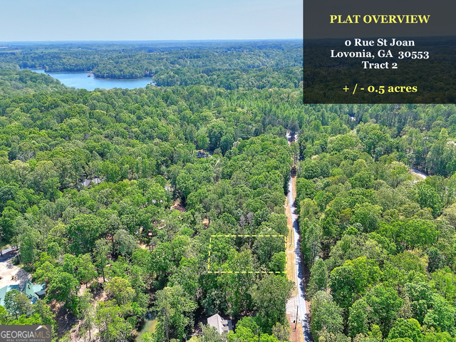 0 Rue Street Joan Lavonia GA 30553