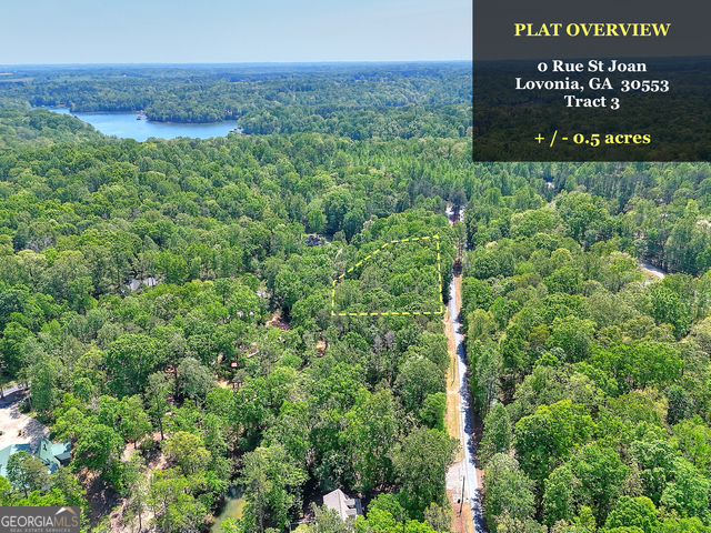 0 Rue Street Joan Lavonia GA 30553