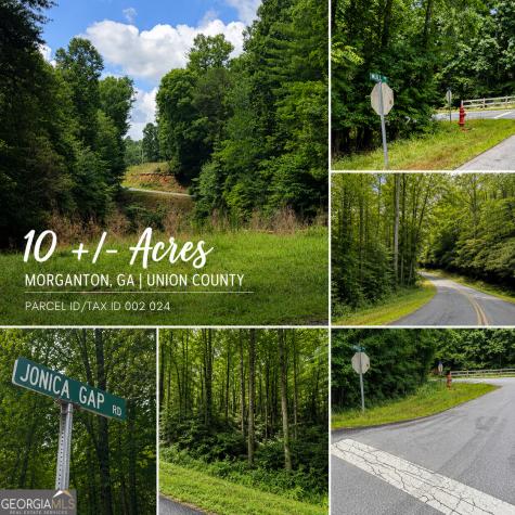 0 Jonica Gap Road Morganton GA 30560