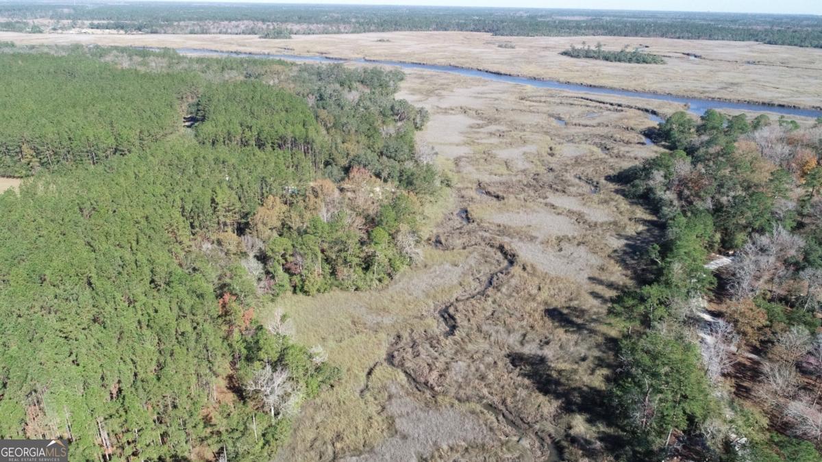 Lot 14 Waverly Lane White Oak GA 31568