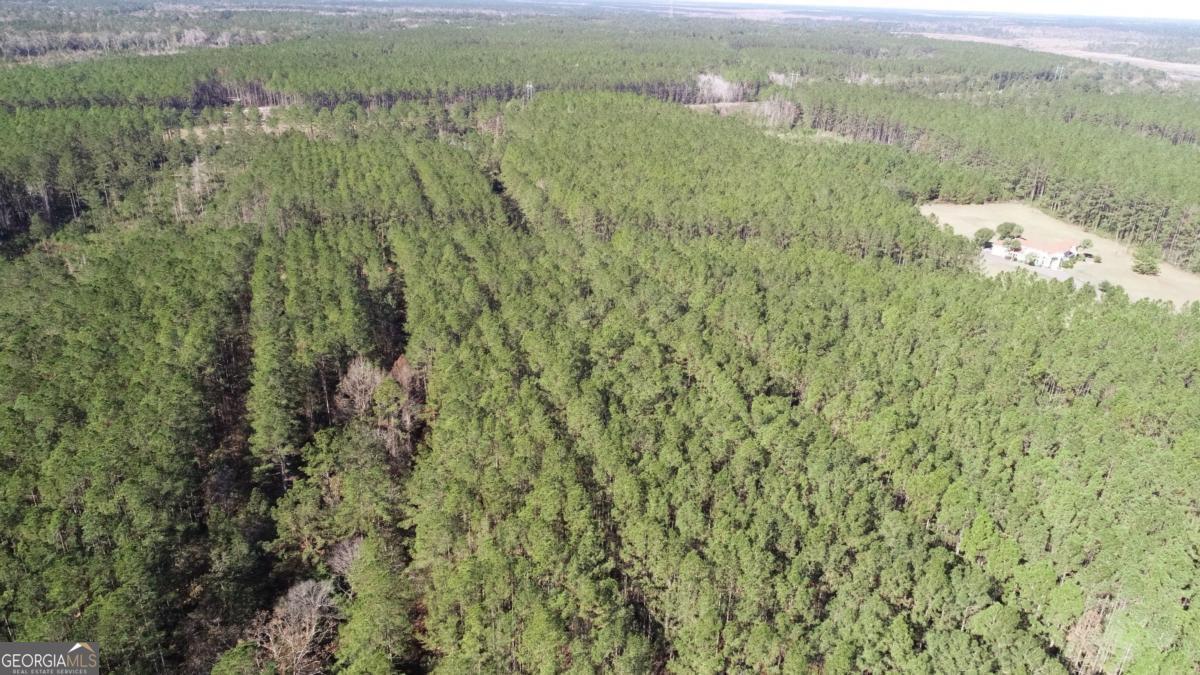 Lot 14 Waverly Lane White Oak GA 31568