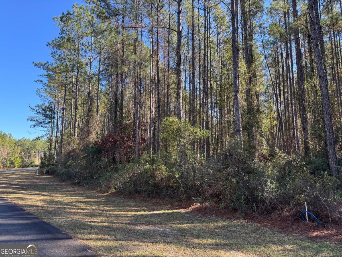 Lot 14 Waverly Lane White Oak GA 31568