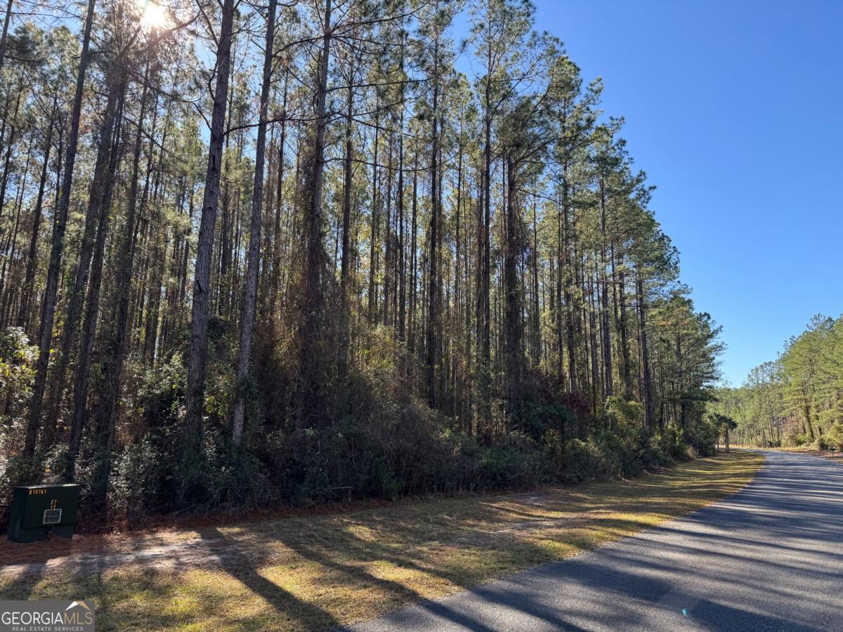 Lot 14 Waverly Lane White Oak GA 31568
