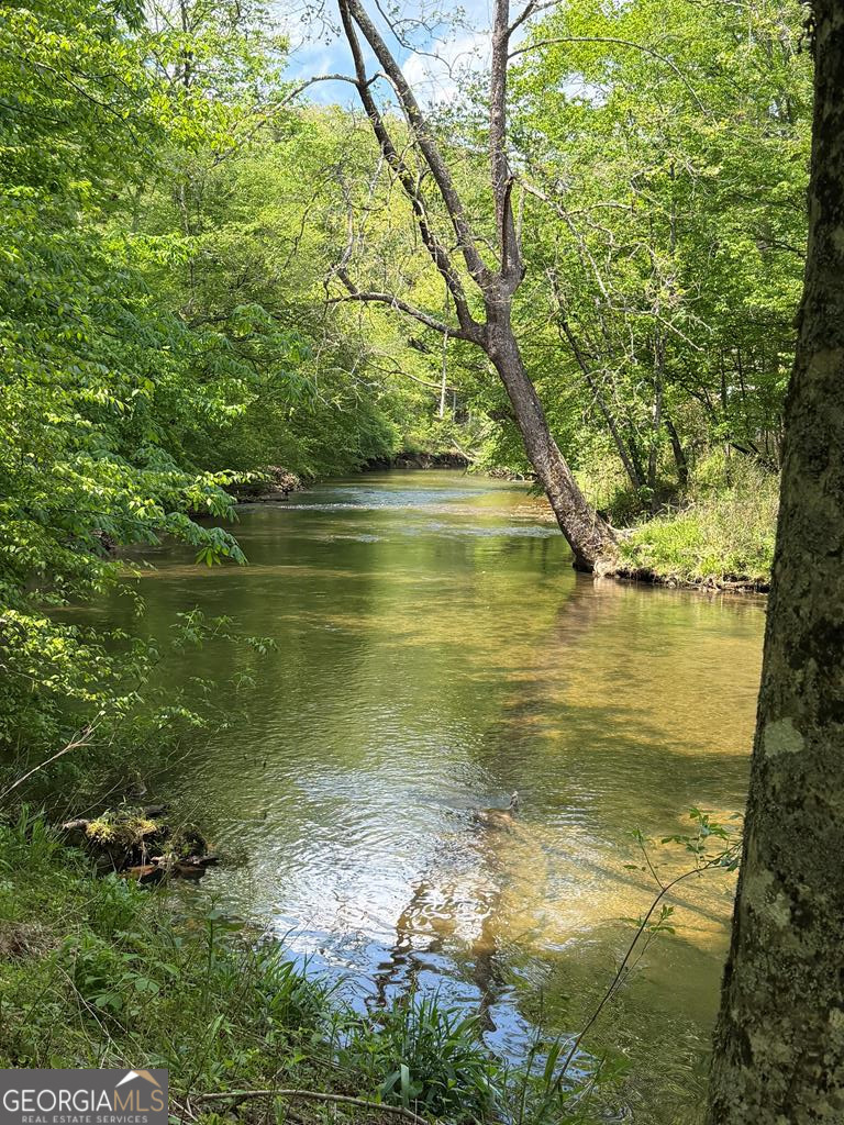 9.8 Ac Brown Mountain Suches GA 30572