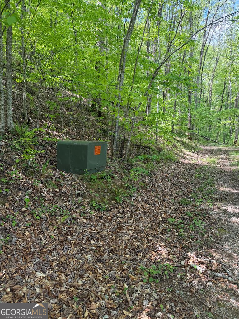 9.8 Ac Brown Mountain Suches GA 30572