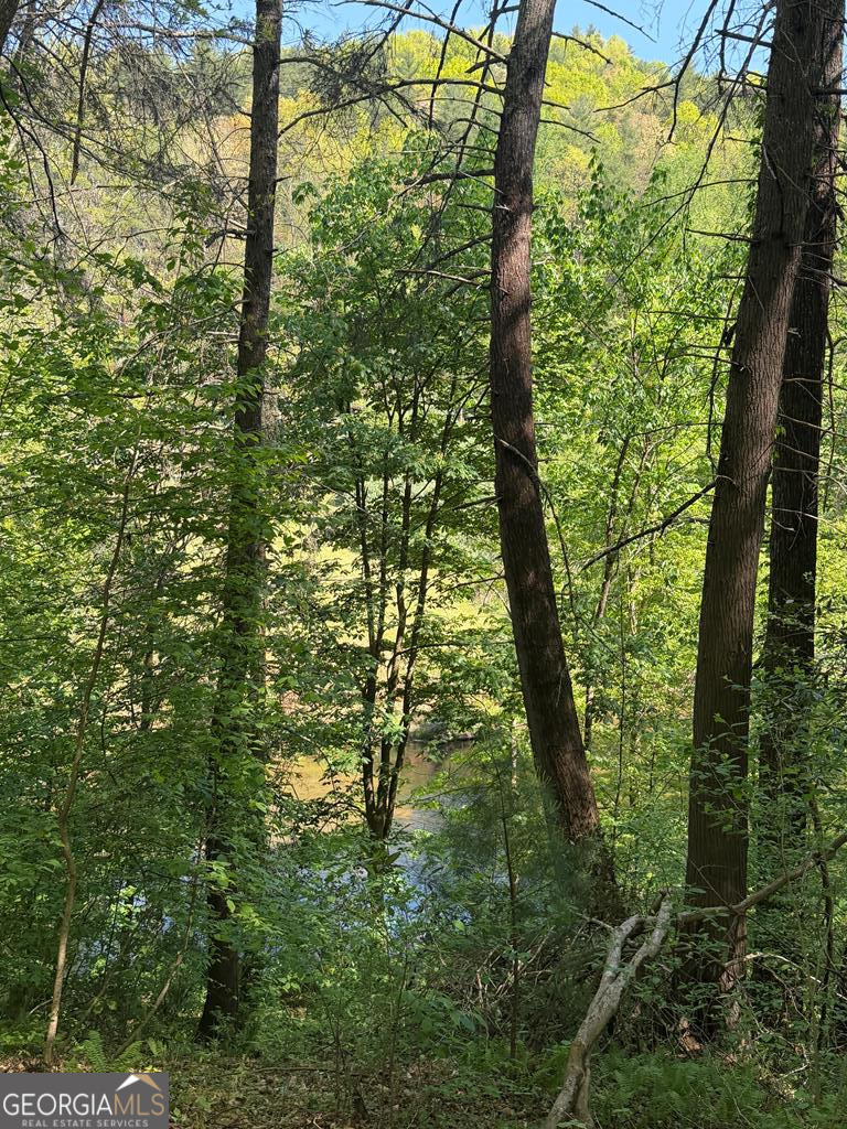 9.8 Ac Brown Mountain Suches GA 30572