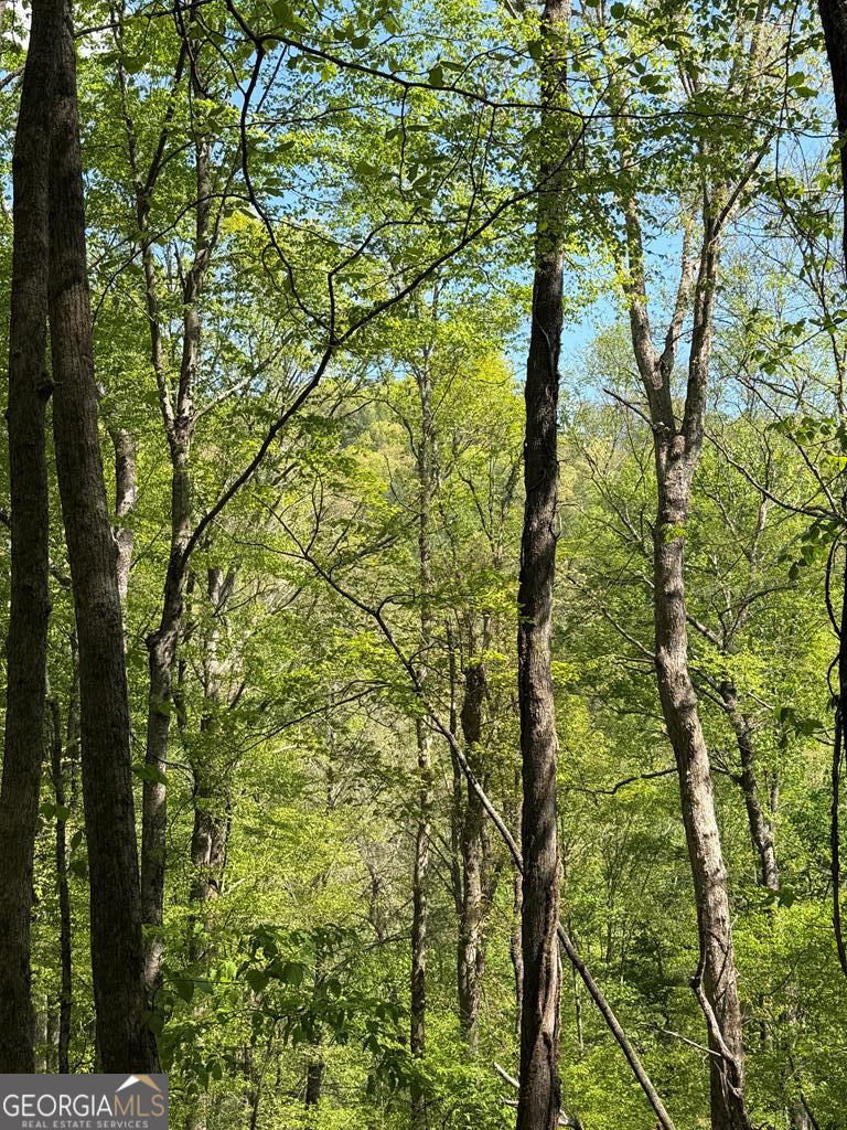 9.8 Ac Brown Mountain Suches GA 30572