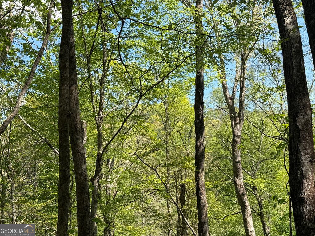 9.8 Ac Brown Mountain Suches GA 30572