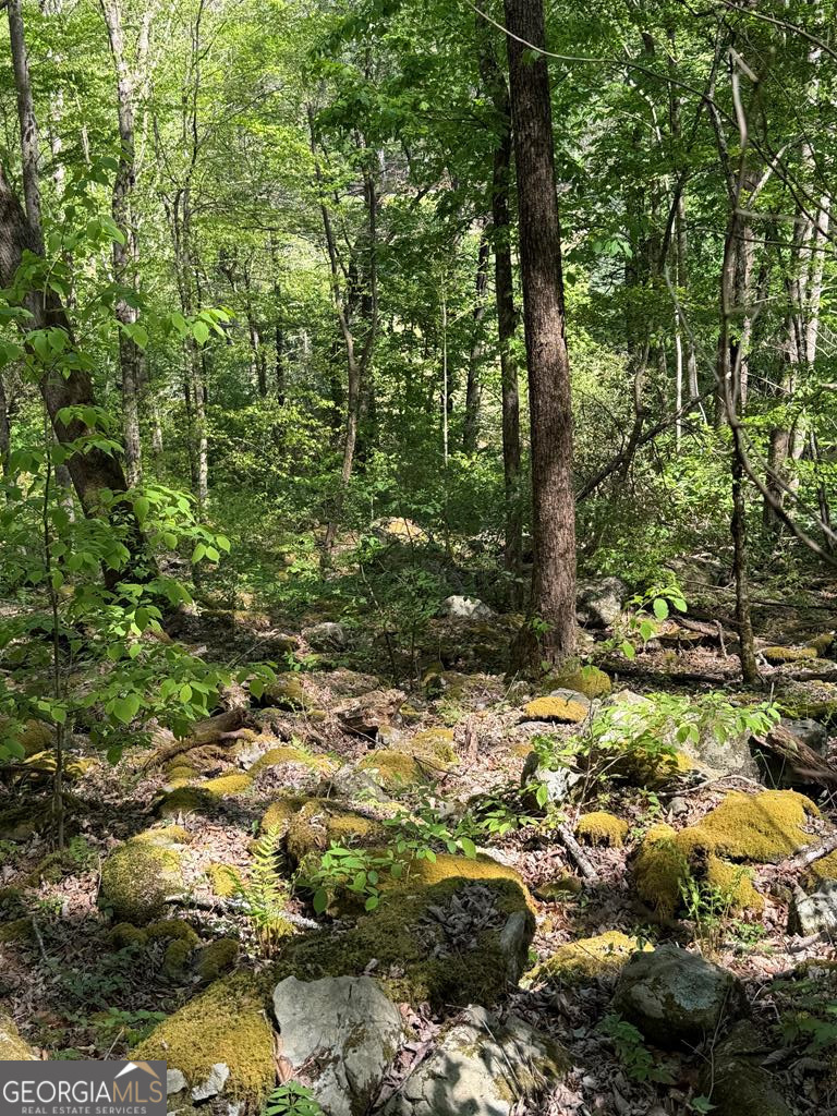 9.8 Ac Brown Mountain Suches GA 30572