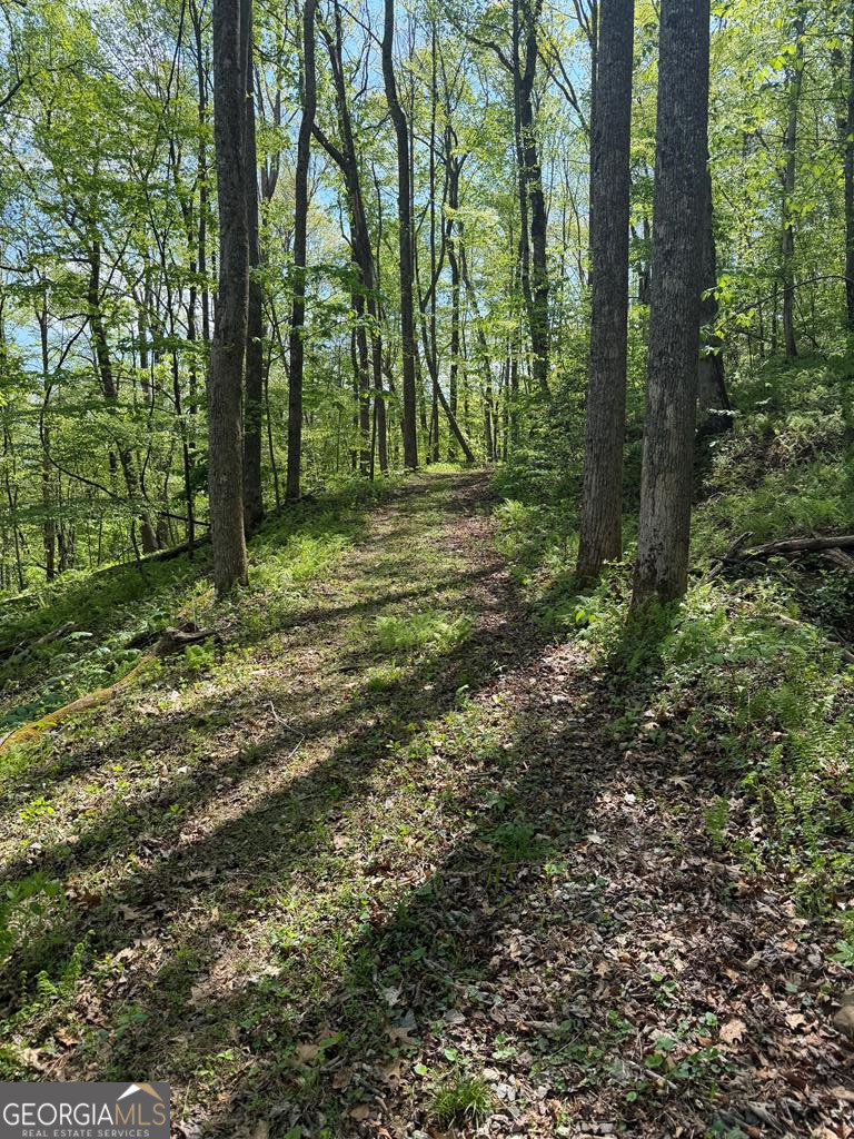9.8 Ac Brown Mountain Suches GA 30572