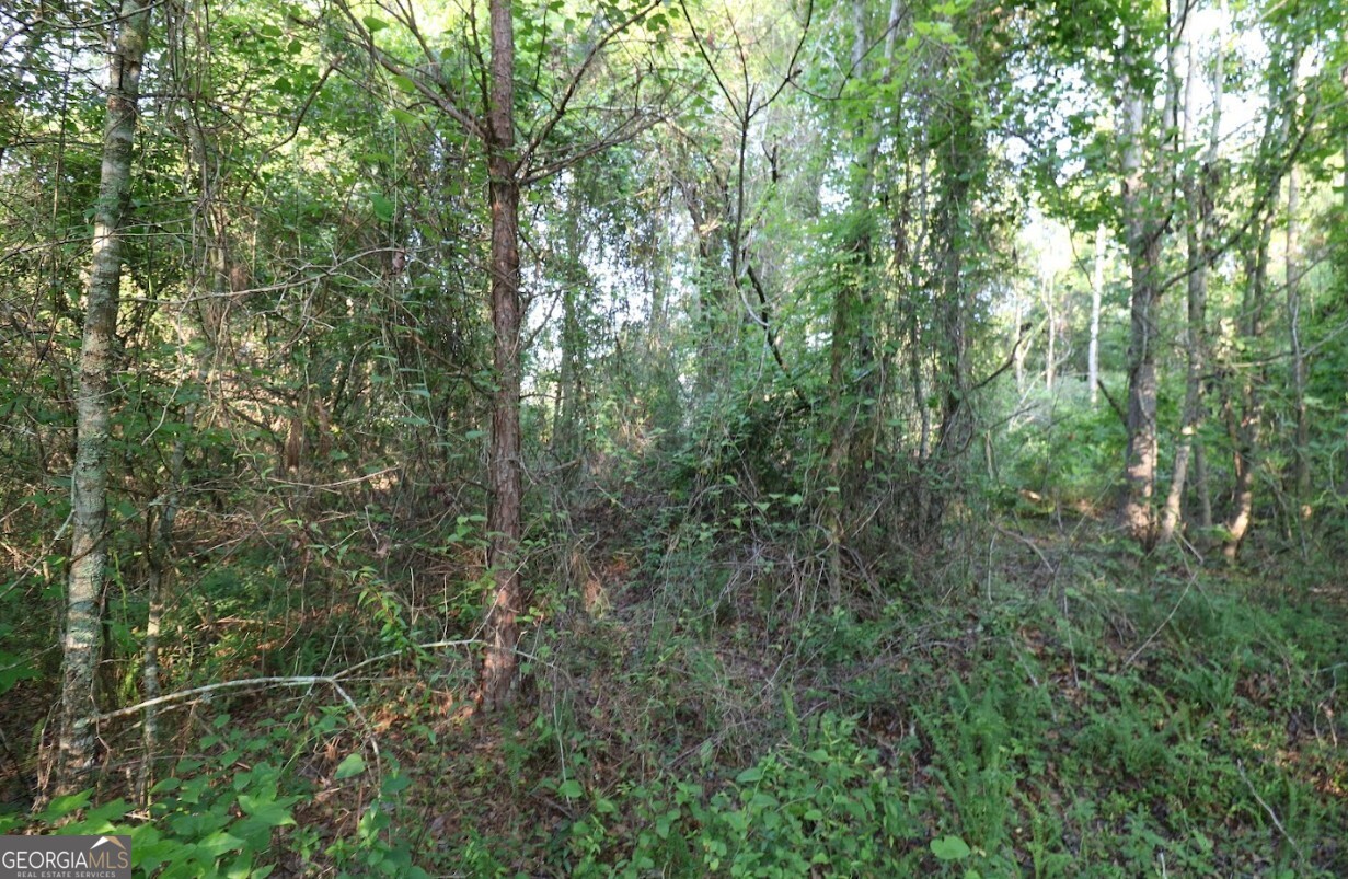 0 Kings Mill Road Wrens GA 30833