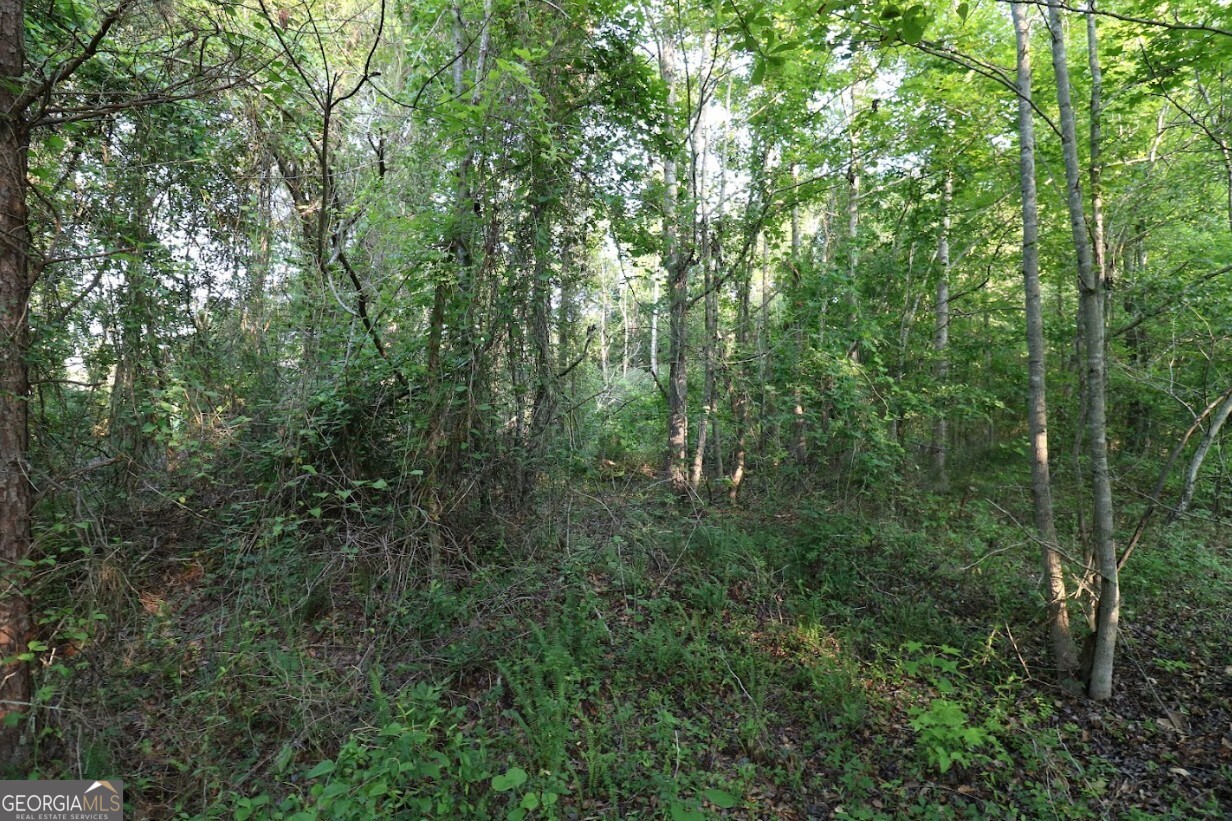 0 Kings Mill Road Wrens GA 30833