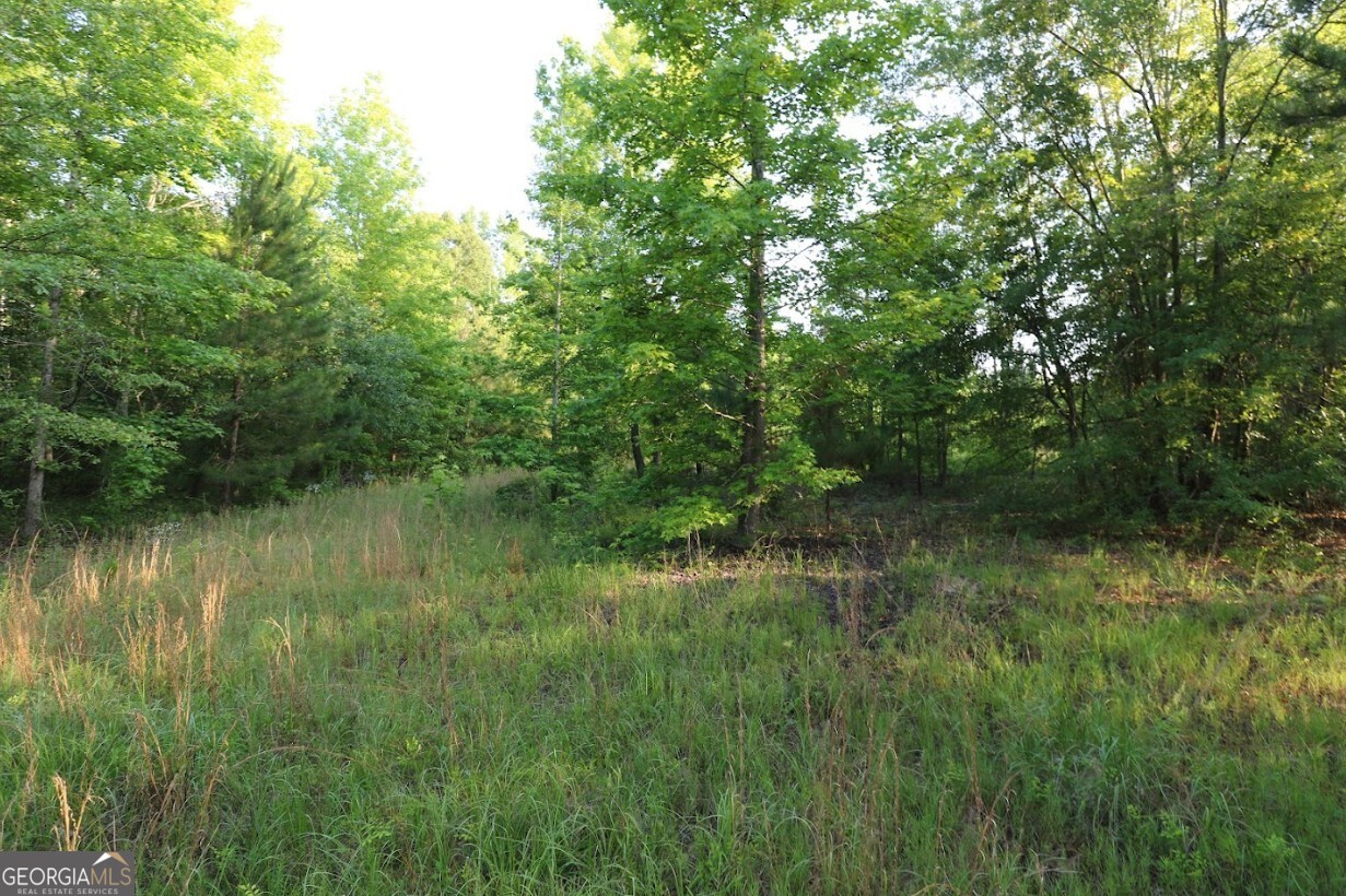 0 Kings Mill Road Wrens GA 30833