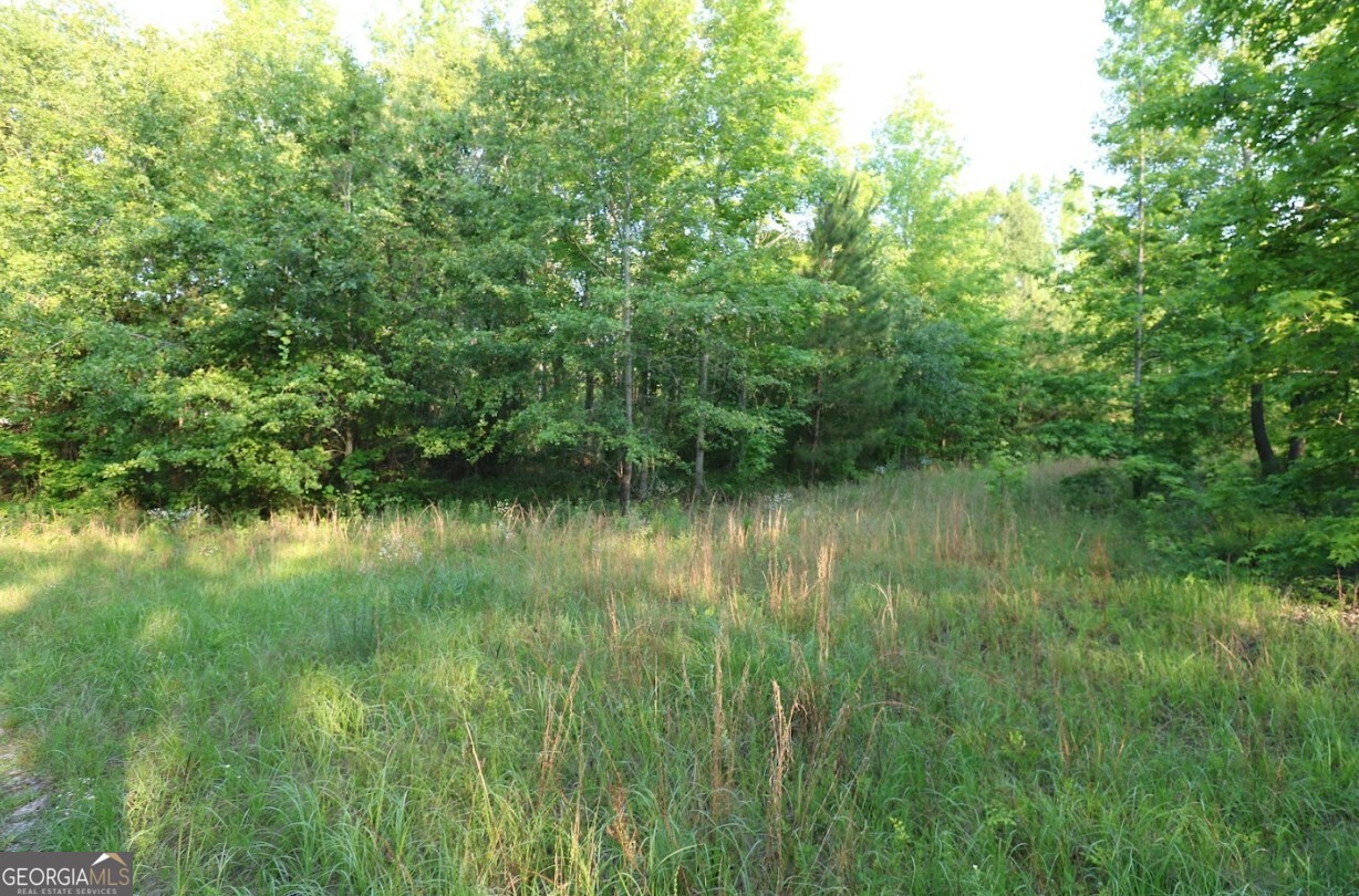 0 Kings Mill Road Wrens GA 30833