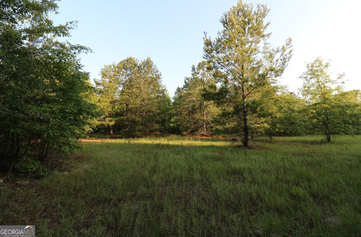0 Kings Mill Road Wrens GA 30833