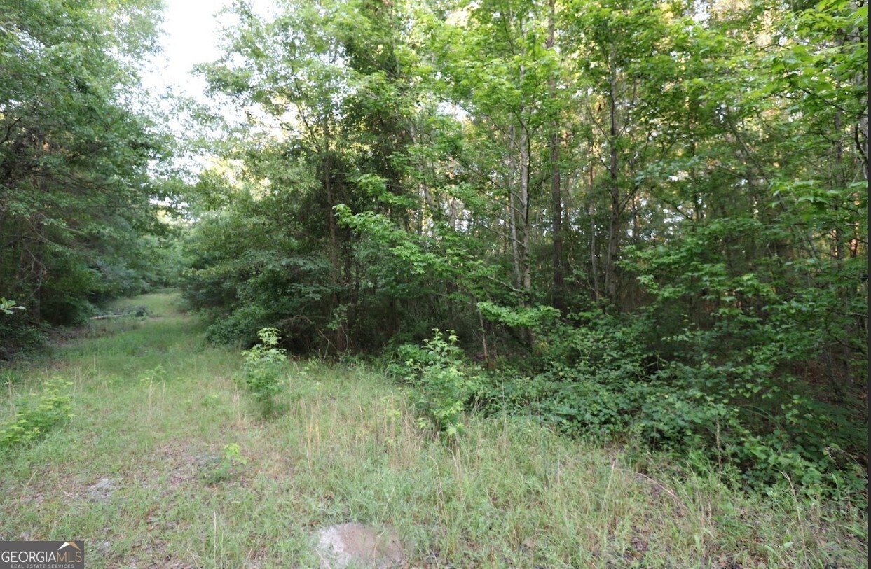 0 Kings Mill Road Wrens GA 30833