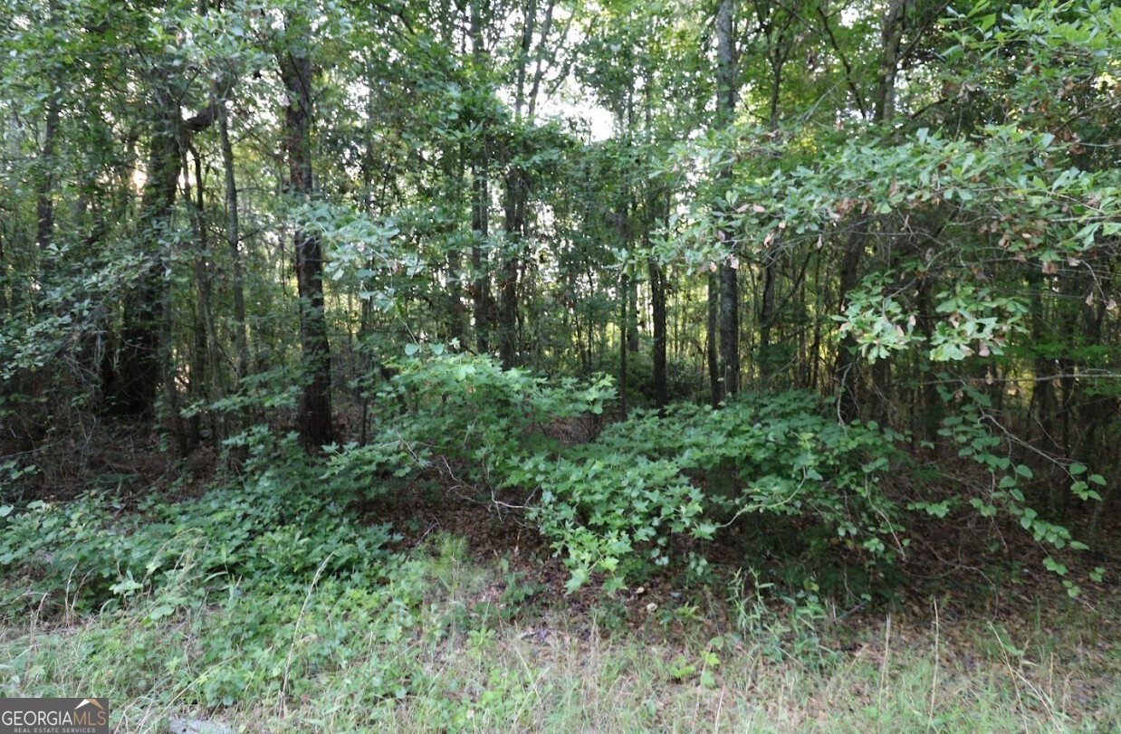 0 Kings Mill Road Wrens GA 30833