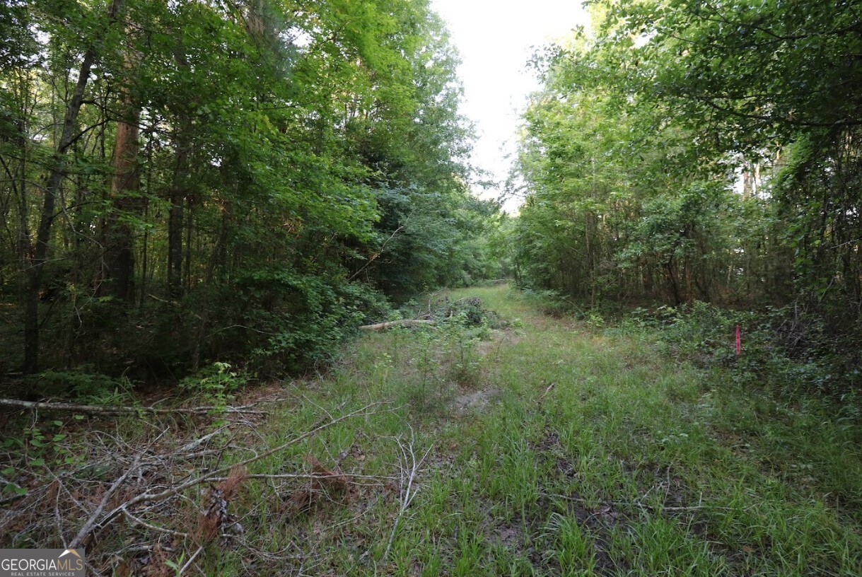 0 Kings Mill Road Wrens GA 30833