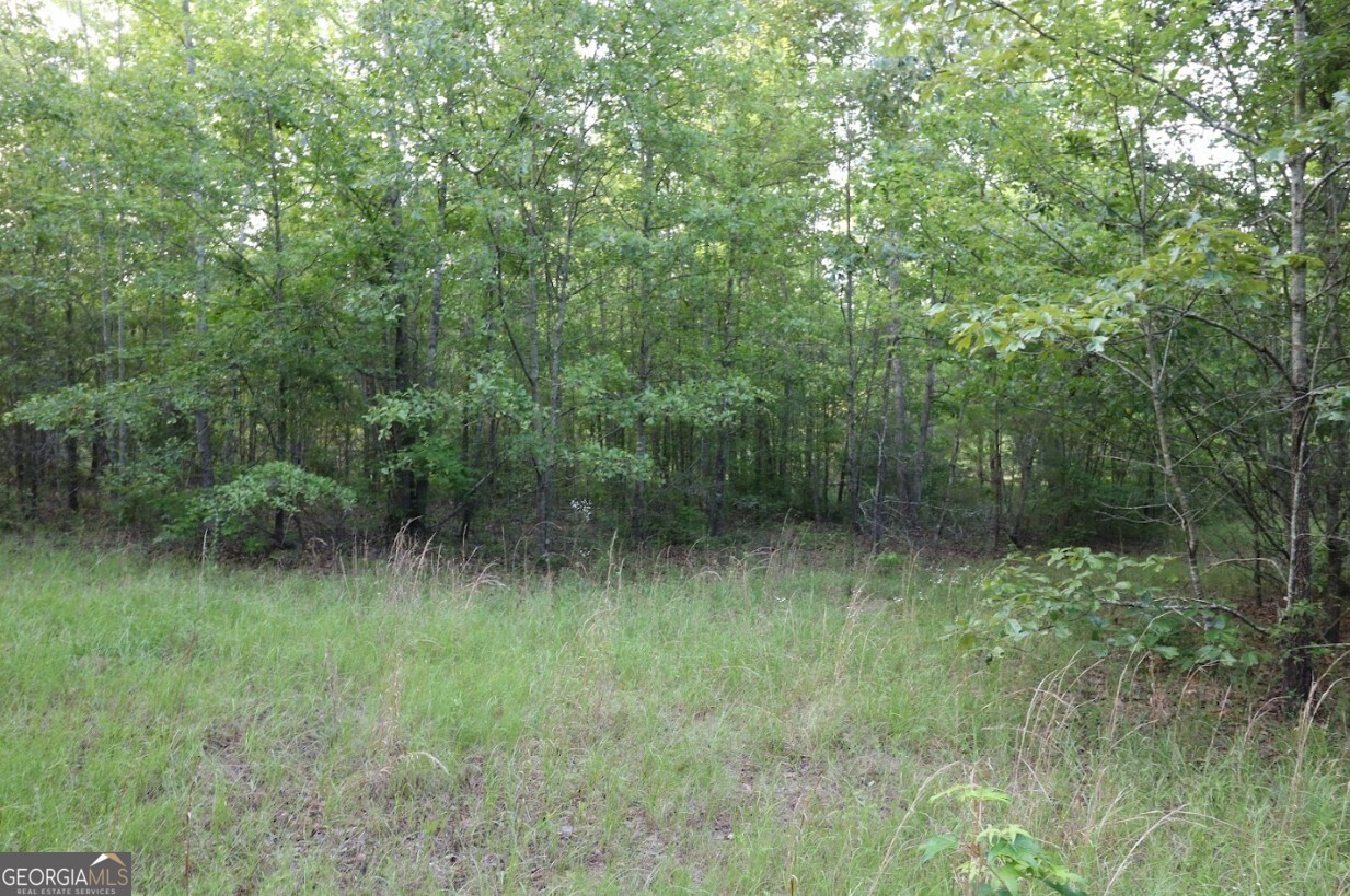 0 Kings Mill Road Wrens GA 30833