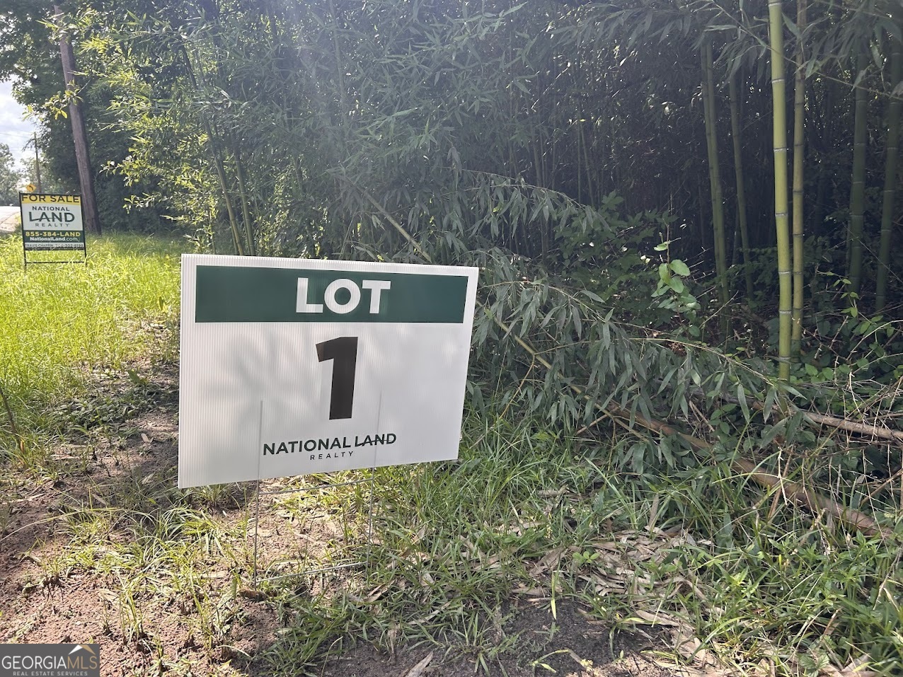 0 Kings Mill Road Wrens GA 30833