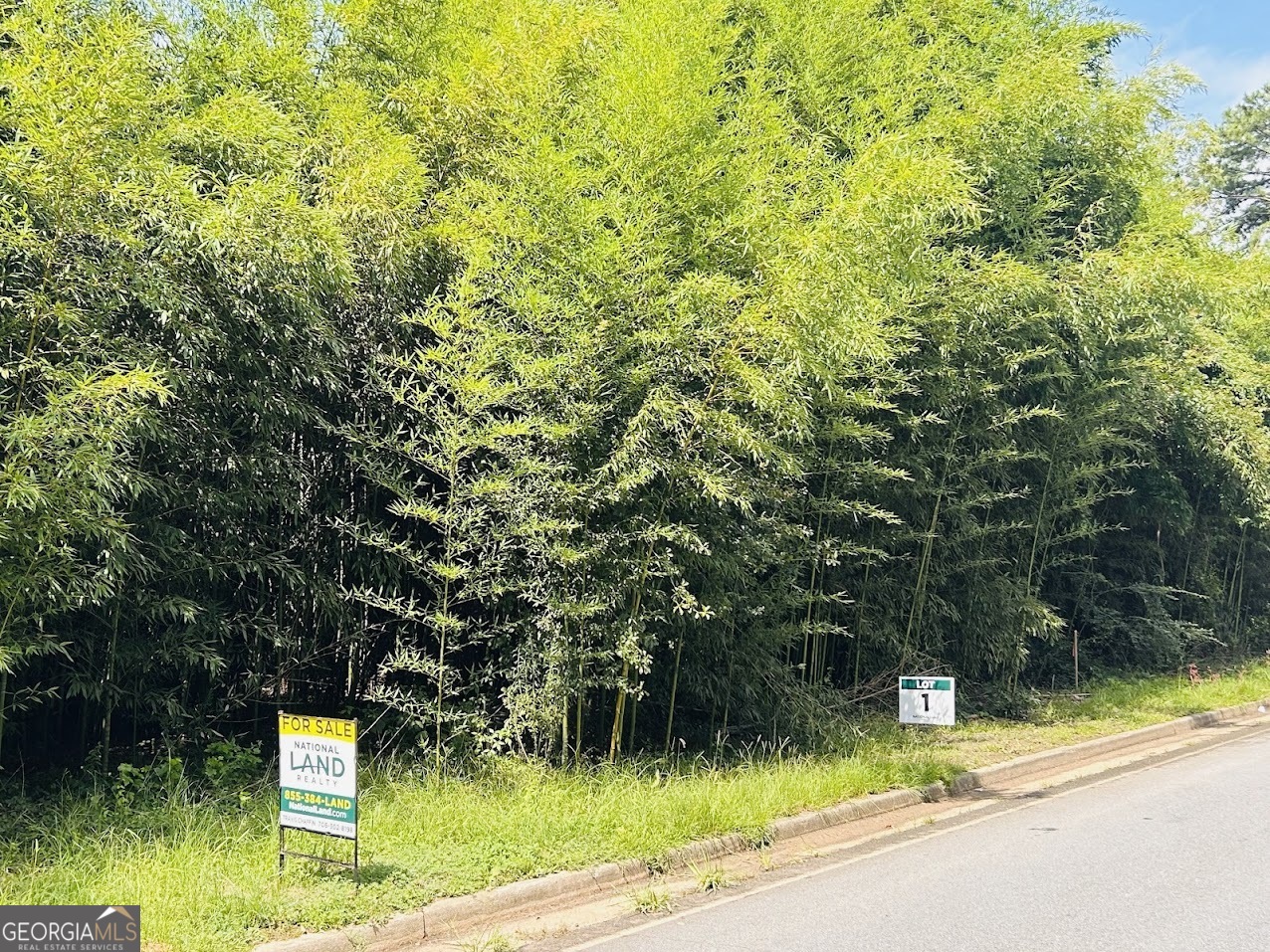 0 Kings Mill Road Wrens GA 30833
