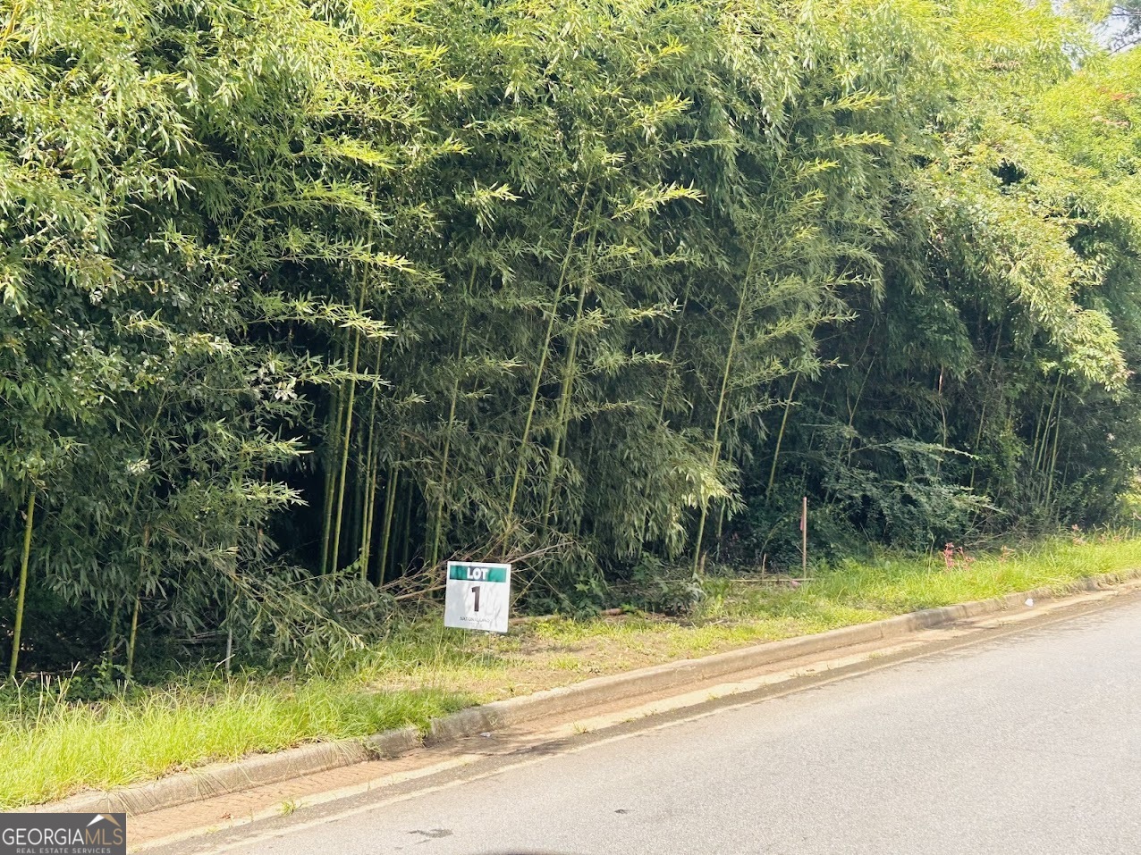 0 Kings Mill Road Wrens GA 30833
