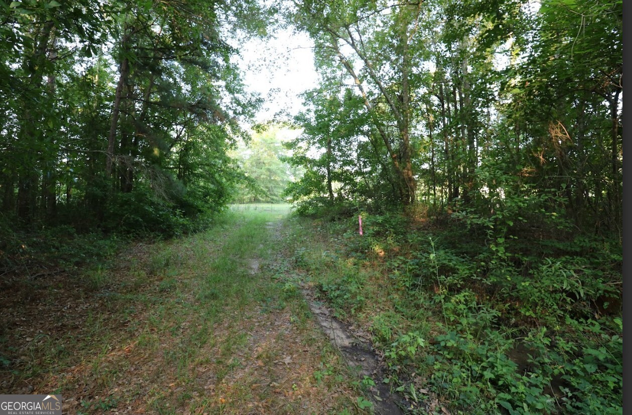0 Kings Mill Road Wrens GA 30833