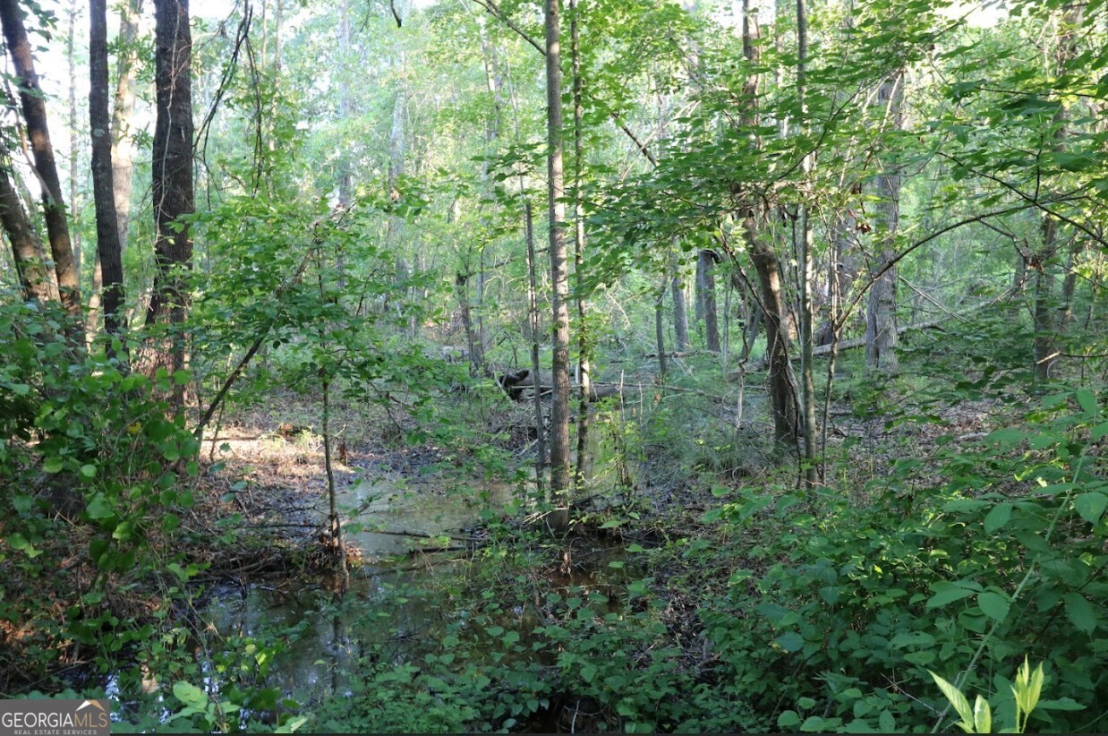 0 Kings Mill Road Wrens GA 30833
