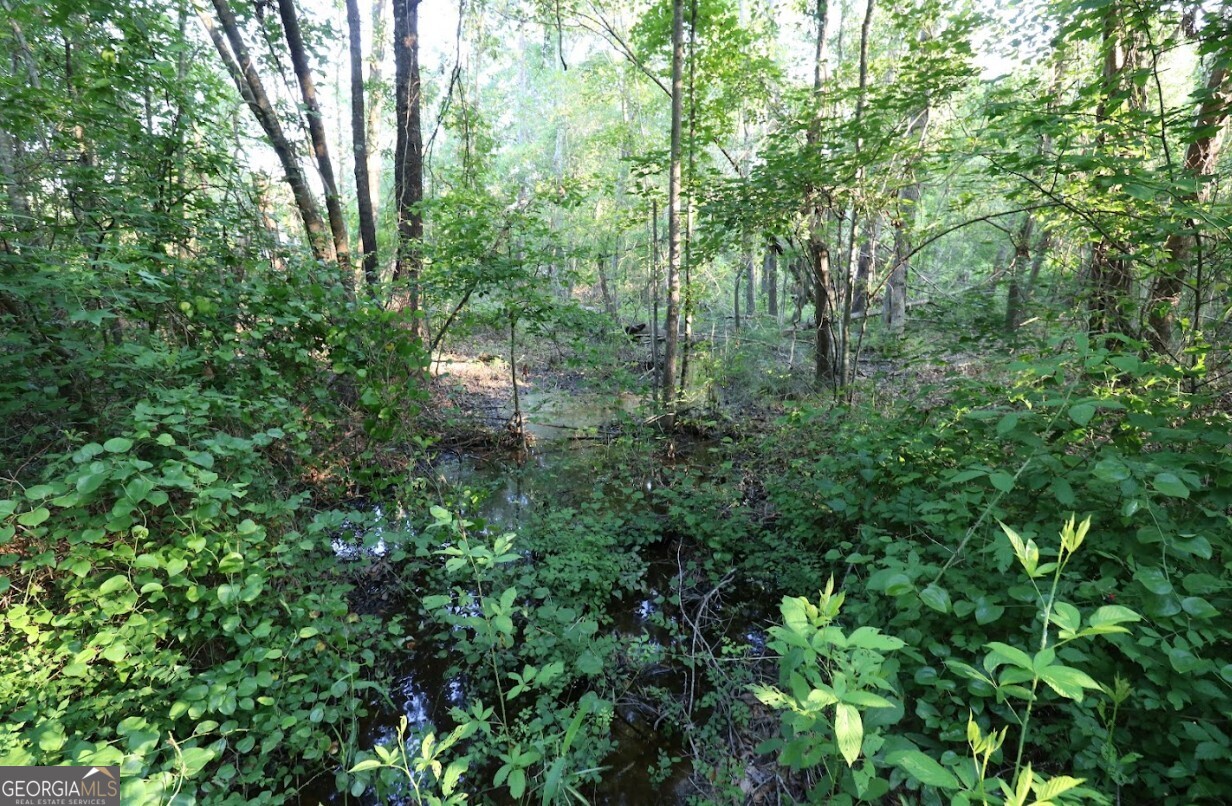 0 Kings Mill Road Wrens GA 30833