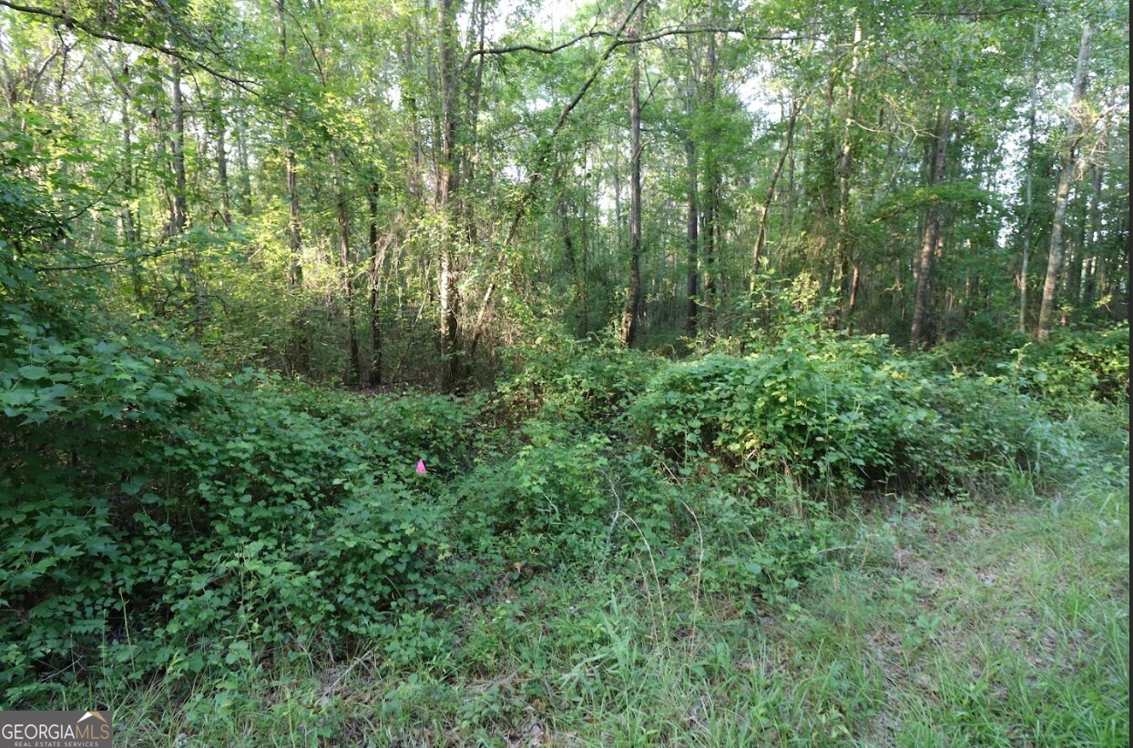 0 Kings Mill Road Wrens GA 30833